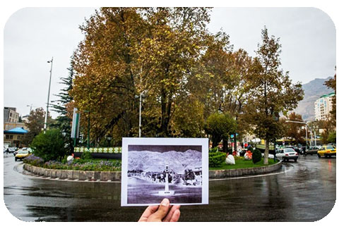 پرستار سالمند در تجریش