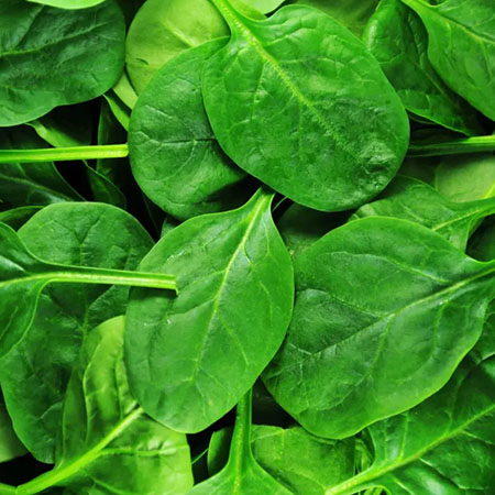 اسفناج و پوکی استخوان