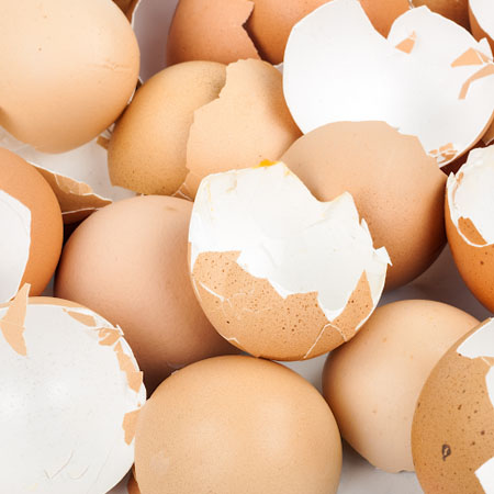 پوست تخم مرغ برای بهبود پوکی استخوان