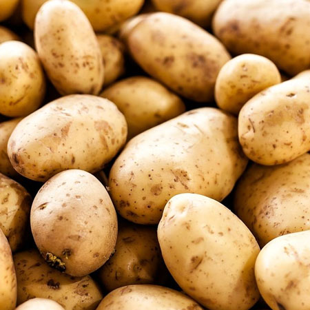 سیب زمینی و پوکی استخوان