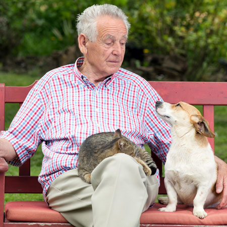 نگهداری از حیوانات خانگی توسط سالمند
